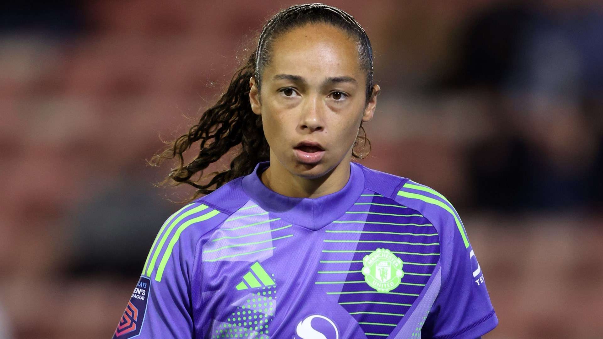 旅游的高峰 旅游的高峰